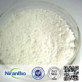 High Amylopectin Waxy corn starch powder